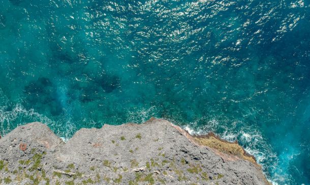 Boca Raton’s Annual ‘Night Market’ Series to Begin Thursday at Sanborn Square: Here’s Who Will Be There