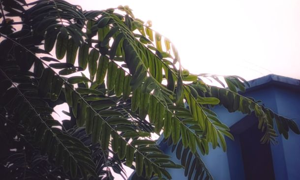 WEATHER ALERT: Unusual Strong Wind In Boca Raton, Delray Beach, Boynton Beach