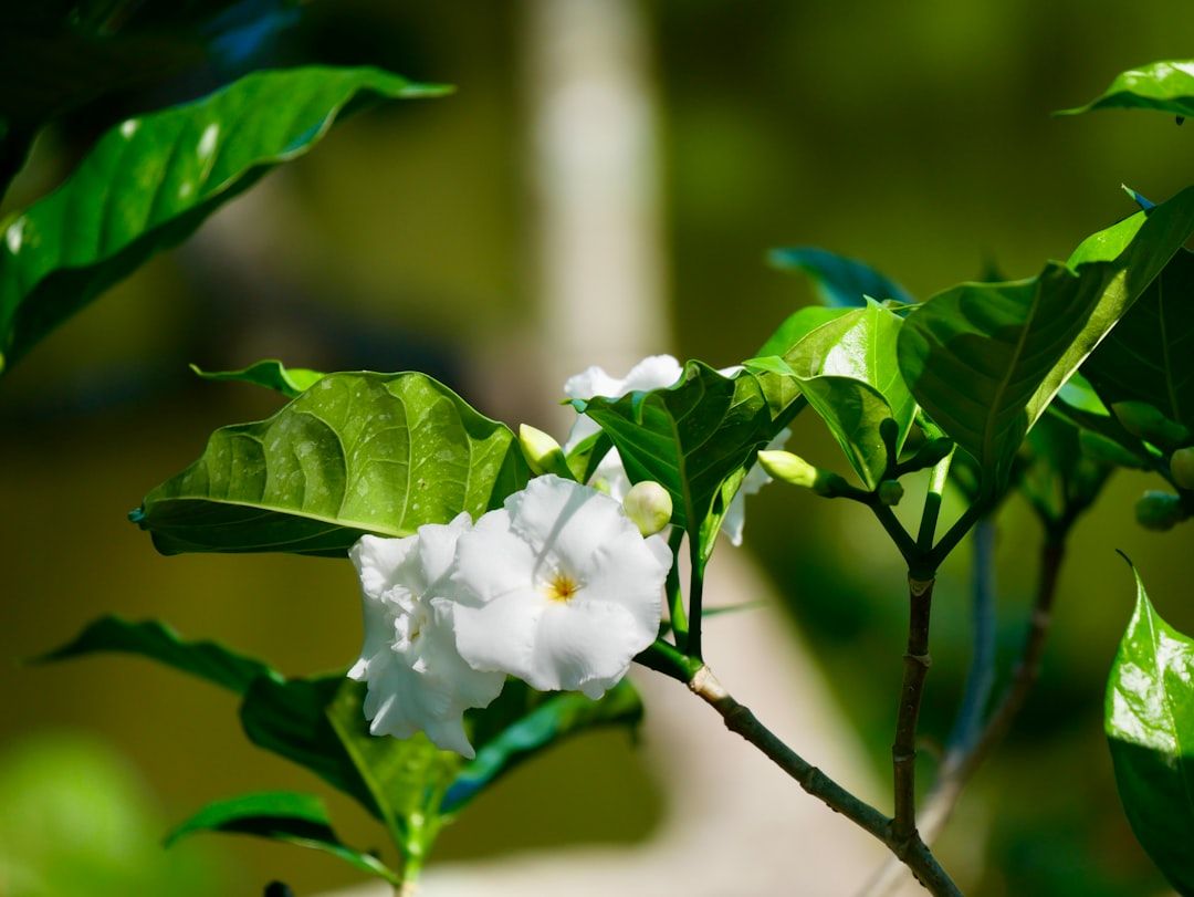 Delray Woman With Crystal Meth, Stolen Clothes, Ice Cream Nabbed At Target