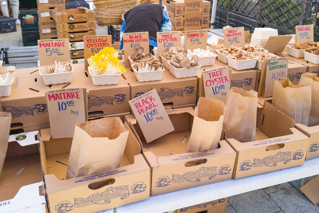 Boca's Best Fried Rice Fest!