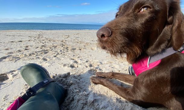 Friend Calls Cops On Delray Beach Woman, Arrested For DUI In Boca Raton