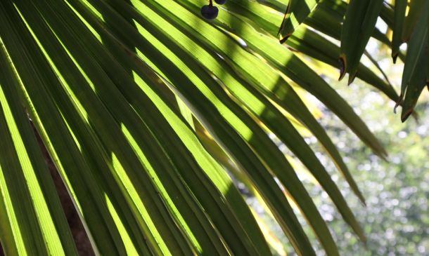 Palm Beach County Public Schools Resume Classes Today After Week Break