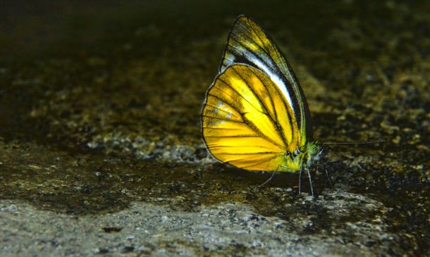 TROPICAL STORM WATCH: Hurricane Center Issues Watch For Part Of South Florida