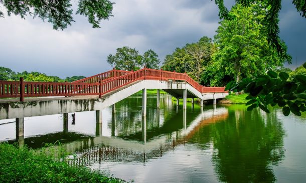 15 Homes, 15 Years: A Boca Raton Success Story