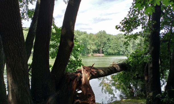M&M Thai Restaurant – Boca Raton Restaurant 4 HURRICANE CENTER: Melissa Forms, May Head North Towards Florida