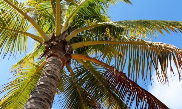 Palm Beach County School Choice Deadline Nears, Event Set For Tuesday