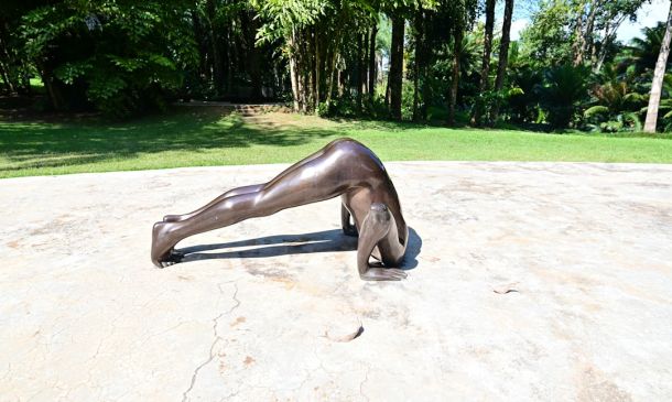 Boca Raton's Wildflower Park: A Blooming Art Scene