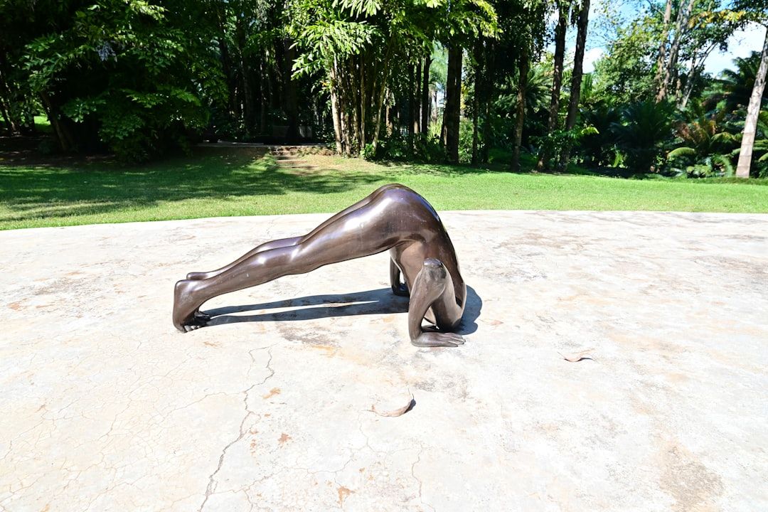 Boca Raton's Wildflower Park: A Blooming Art Scene