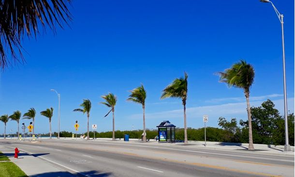 Boca Bash 2025: Elegance & Community