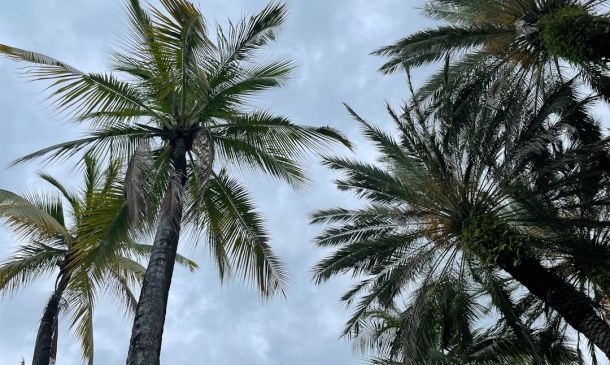 Boca Raton Weekend: Sun, Fun & Possible Showers