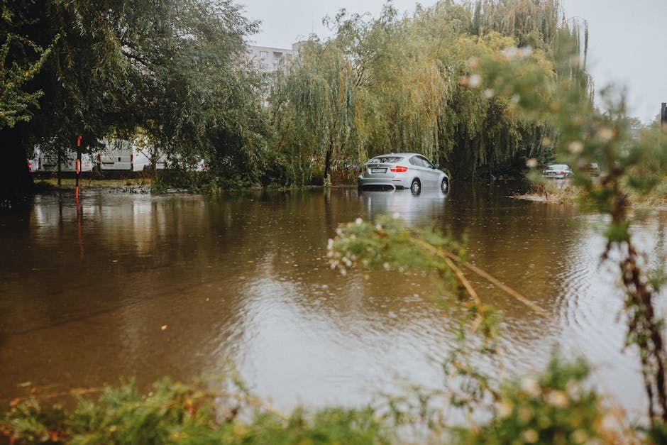 Boca rain damage – Must-See Boca's 7-Inch Deluge: Ultimate Weekend Soak