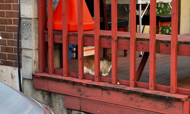 Boca Raton Child Safety Incident: Woman Arrested