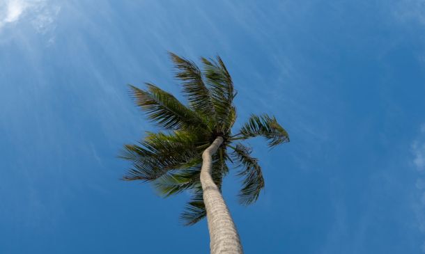 Boca Raton Weather: Sunny Skies & Possible Showers