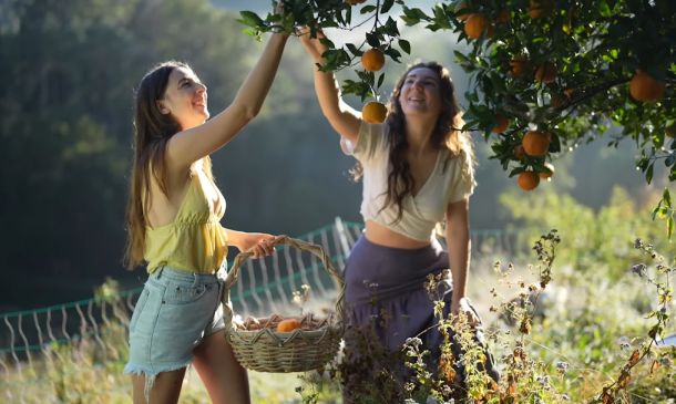 Two Prostitutes Arrested In Just Fifteen Minutes, According To Police