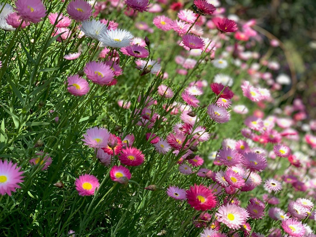 Kings Point Delray Beach Sued Over Treadmill Incident