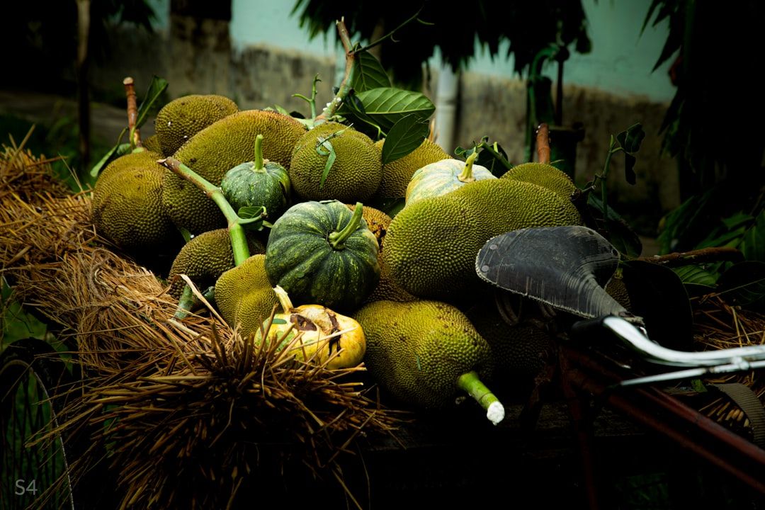 Boca's Best Guac: Celebrate National Guacamole Day!