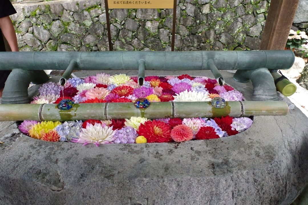 Boca Raton's John Tulock: A Life Remembered