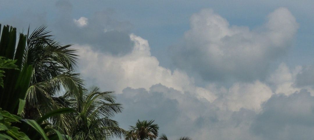 Boca Raton Plane Crash: Updates & Investigation