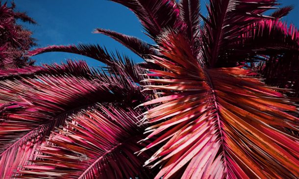 Palm Beach County Breaks Ground on “Affordable” Housing