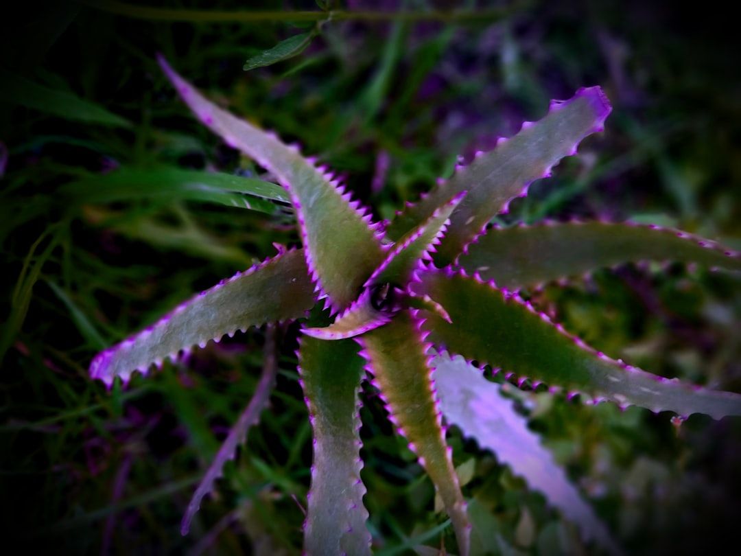 South Florida Democratic Congresswoman Indicted