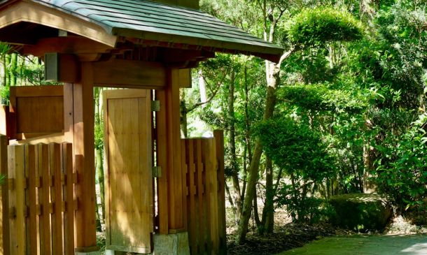 Delray Beach Police Find Body at Shopping Plaza After Fire Call