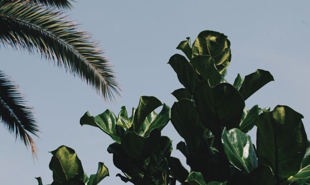 TROPICAL STORM IMELDA FORMS EAST OF FLORIDA