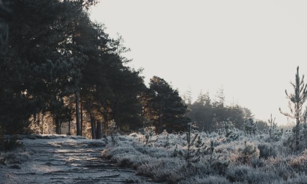 CHILLY! Did You See What The Low Is Going To Be In South Florida Tonight?