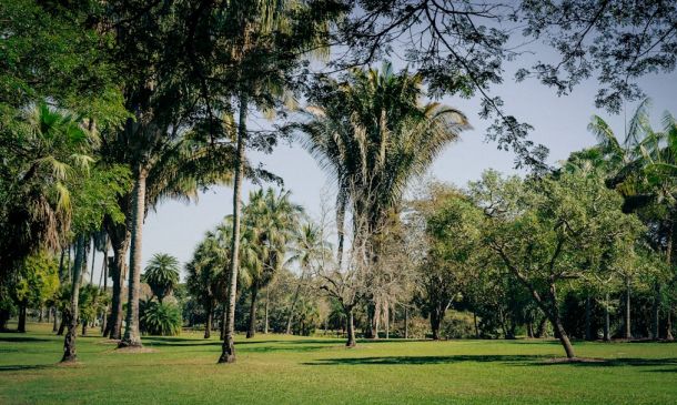 Boca Raton Sunset Polo: Tradition & Philanthropy