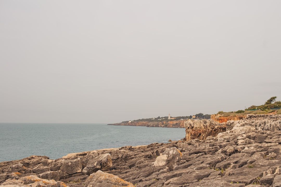 Boca Raton Tree Lighting Set For This Weekend