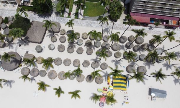 Boca Raton's Wildflower Park: Art in Bloom