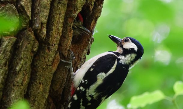 Major World AIDS Day Event Set For Palm Beach County