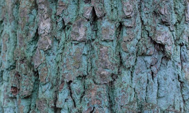 Another Office Plaza Eyed for Demolition, 287 Apartments in Boca Raton