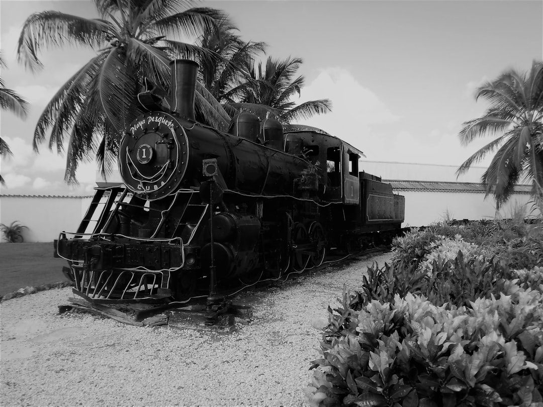 Remembering Michael Comar: A Boca Raton Legacy