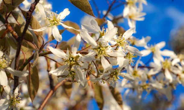 Milton A ‘Rapidly Intensifying’ Hurricane, Tracks Slightly Closer to South Florida