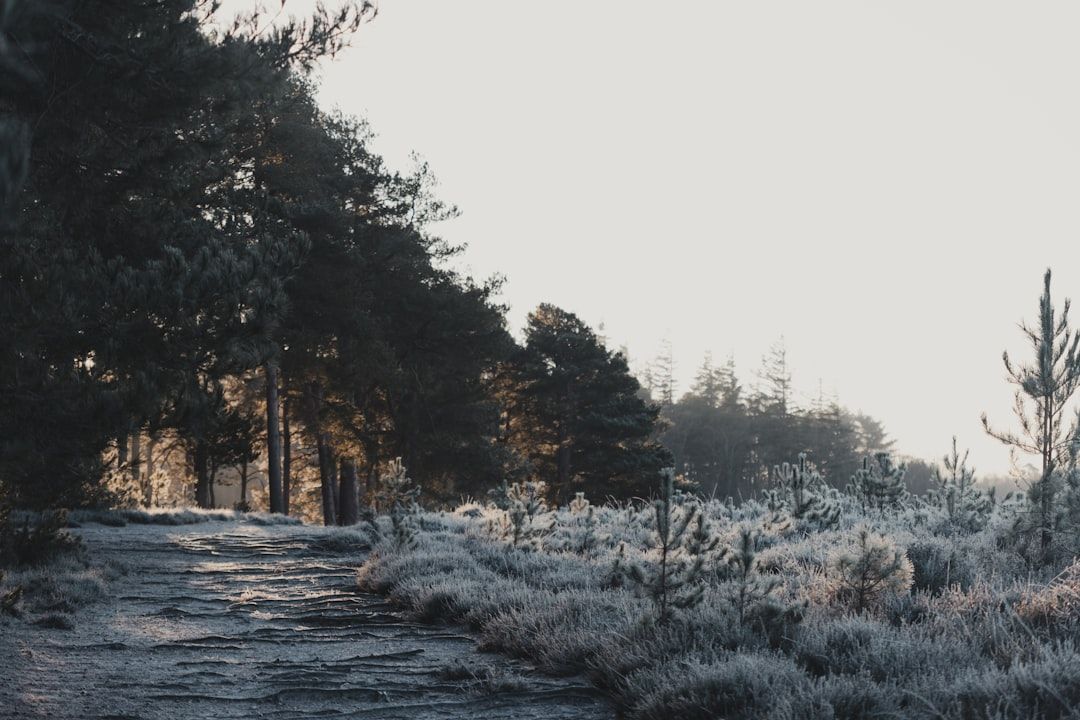 CHILLY! Did You See What The Low Is Going To Be In South Florida Tonight?