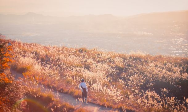 Yamato Road Parcel Cleared for Restaurant, Drive-Through Use