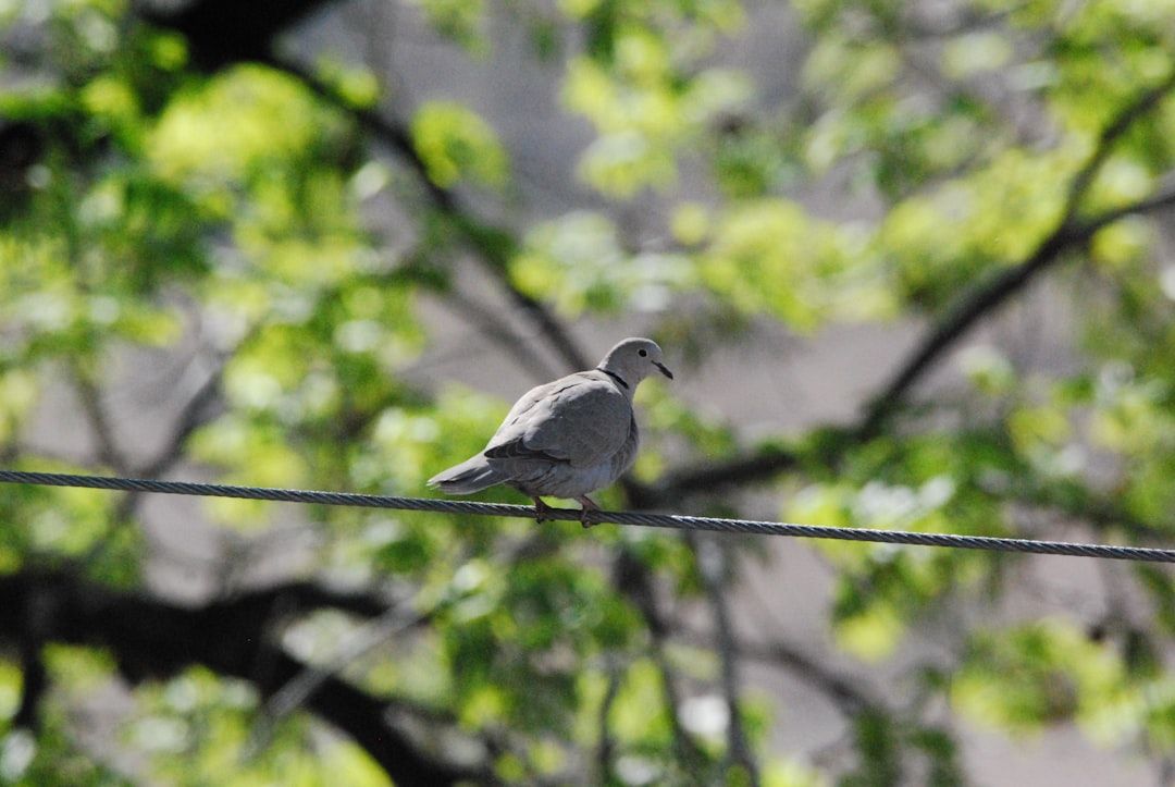 HURRICANE MELISSA FORMS SOUTH OF FLORIDA