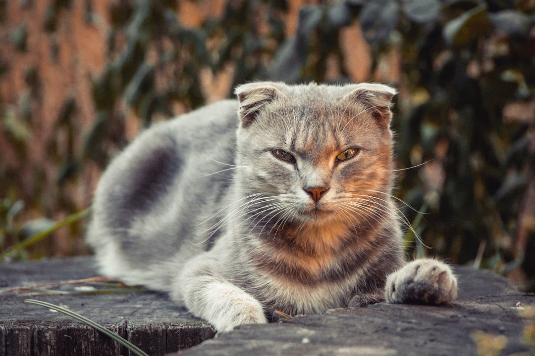 Suspect Arrested Hours After Boynton Beach Slaying