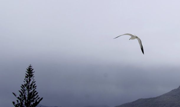 Coastal Flood Statement issued October 18 at 1:57AM EDT until October 19 at 8:00PM EDT by NWS Miami FL