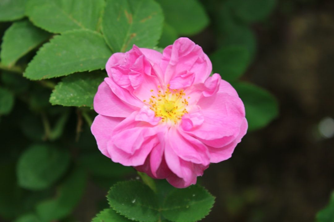 If You’re Looking For Affordable Homes In Palm Beach County, Read This