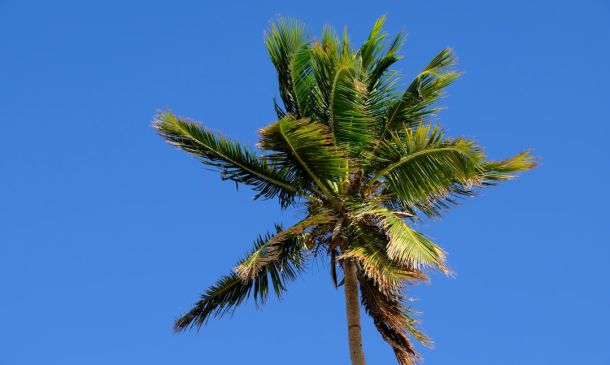 Boca Raton: Sunny Weekend, Mild Week Ahead