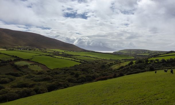 IRISH BRIGADE LAKE WORTH BEACH: You May Want To Skip This Place