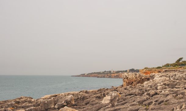 Boca Raton Tree Lighting Set For This Weekend