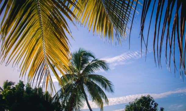 Boca Raton Storm: Prepare for Heavy Rain & Flooding