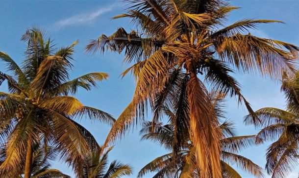 Beyond Boca: Beach & Water Adventures Nearby