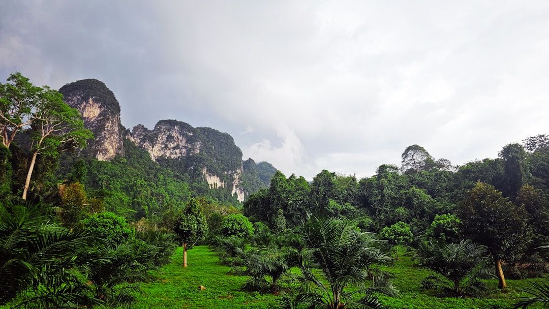 Tropical Depression 3 Forms, Will Move Toward Carolinas