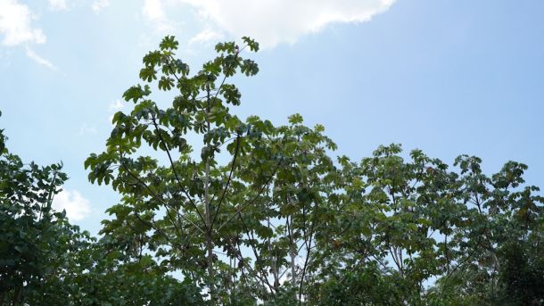 boca 414505 a17cf6fa Travel