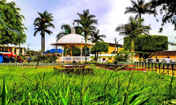 Boca Raton's Wildflower Park: A Stunning Transformation