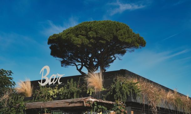 Celsius Expands in Boca Raton