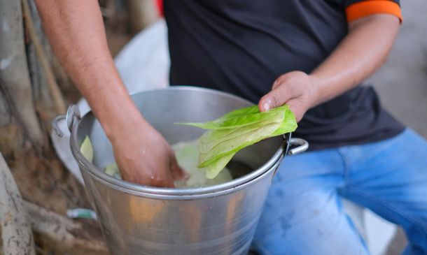 Boca Raton's Fried Rice Fiesta